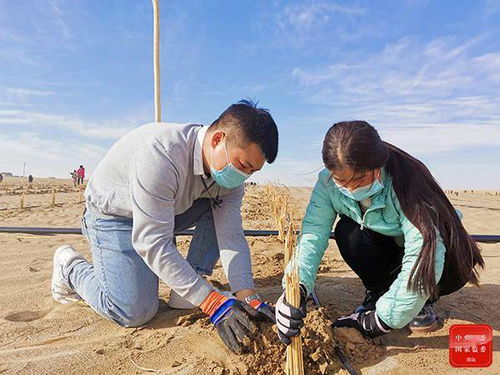 鏡頭 建設綠色家園